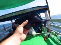 /album/photogallery-ngwe-saung-beach/wer-52-jpg/